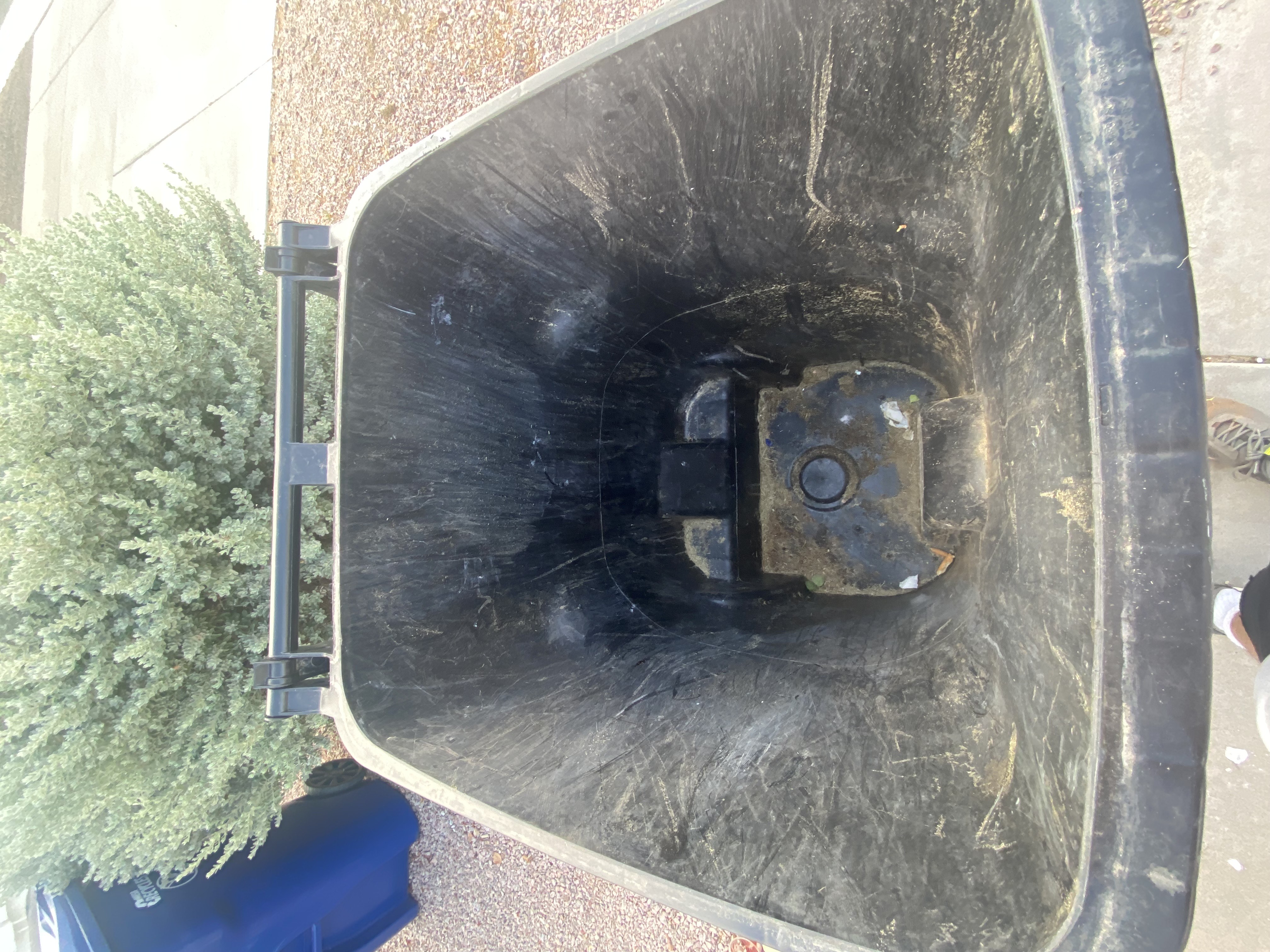 Trash can before pressure washing